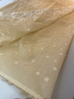 Soft Organza Saree / 101FA