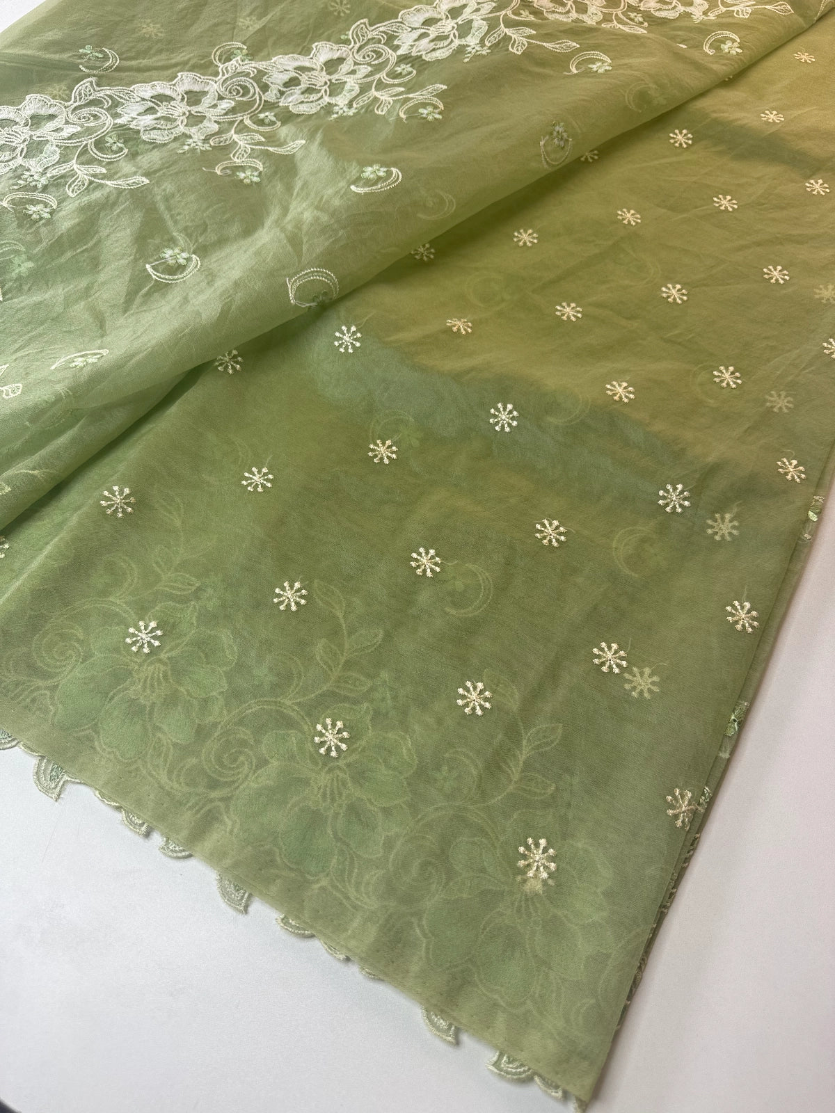 Soft Organza Saree / 101FA