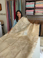 Tissue saree/ 652A