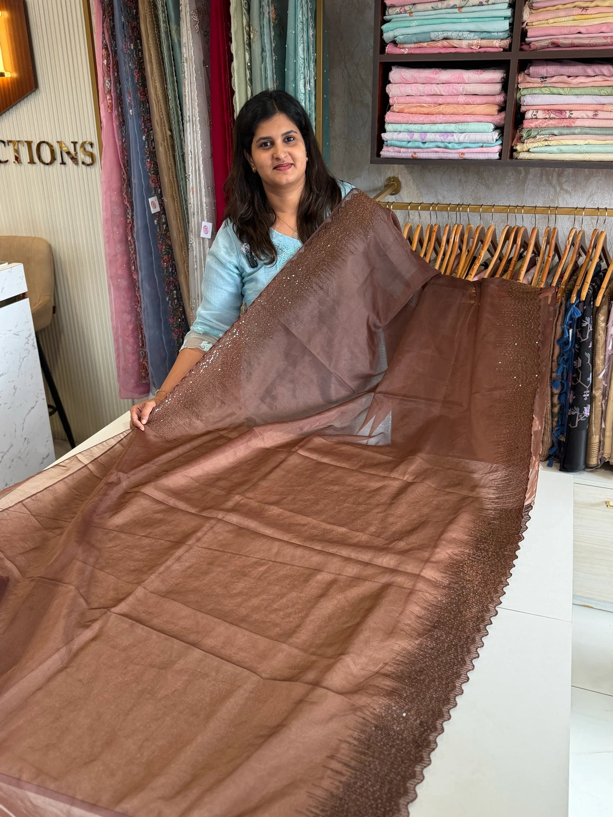 Soft organza saree/ CW296