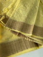 Slub Silk Saree / LEM54