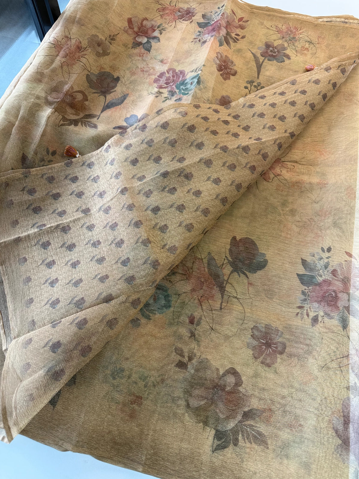 Tissue saree / SR147