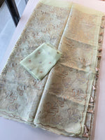 Organza Saree / STU12