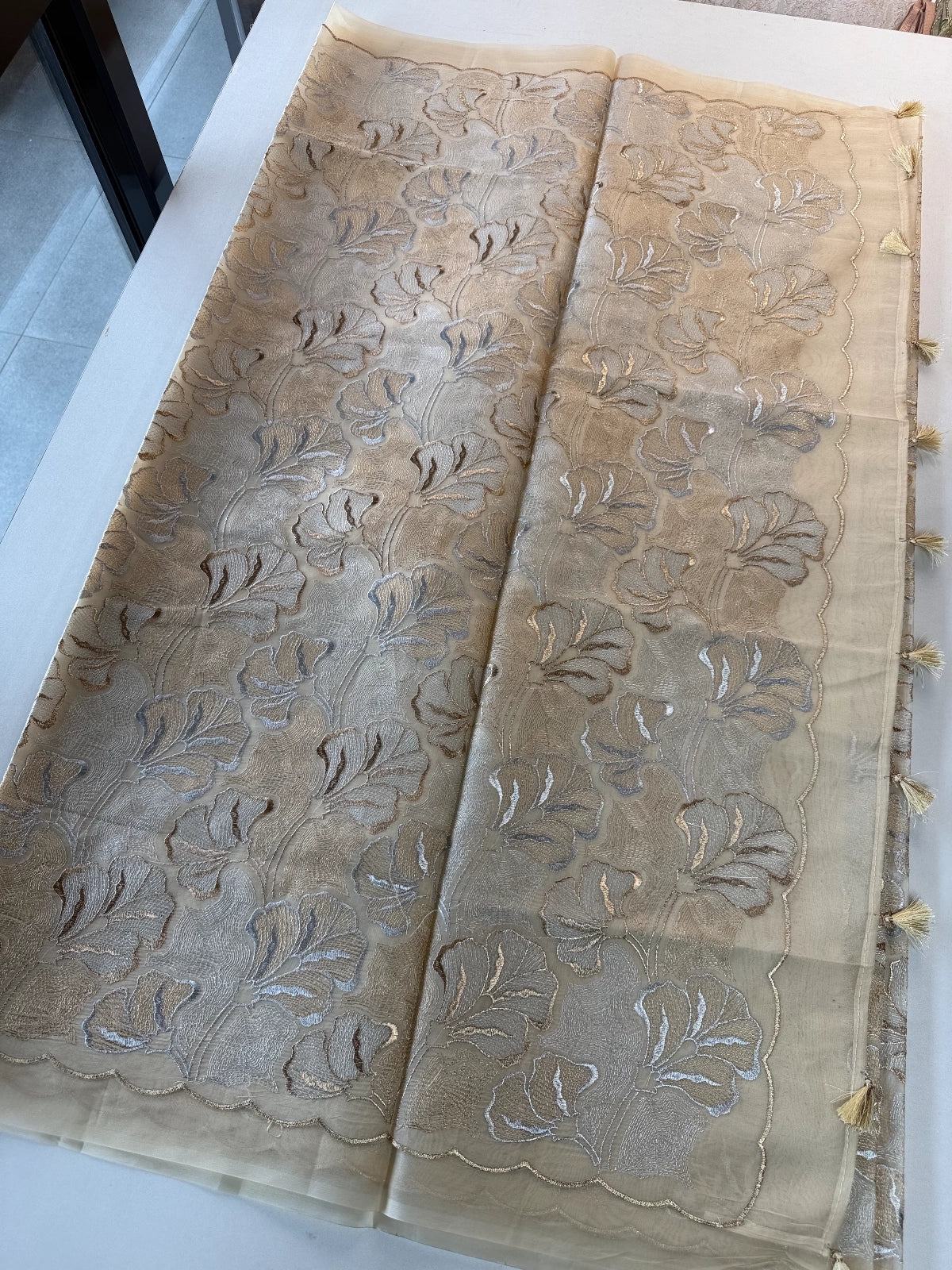 Organza Saree / STU12