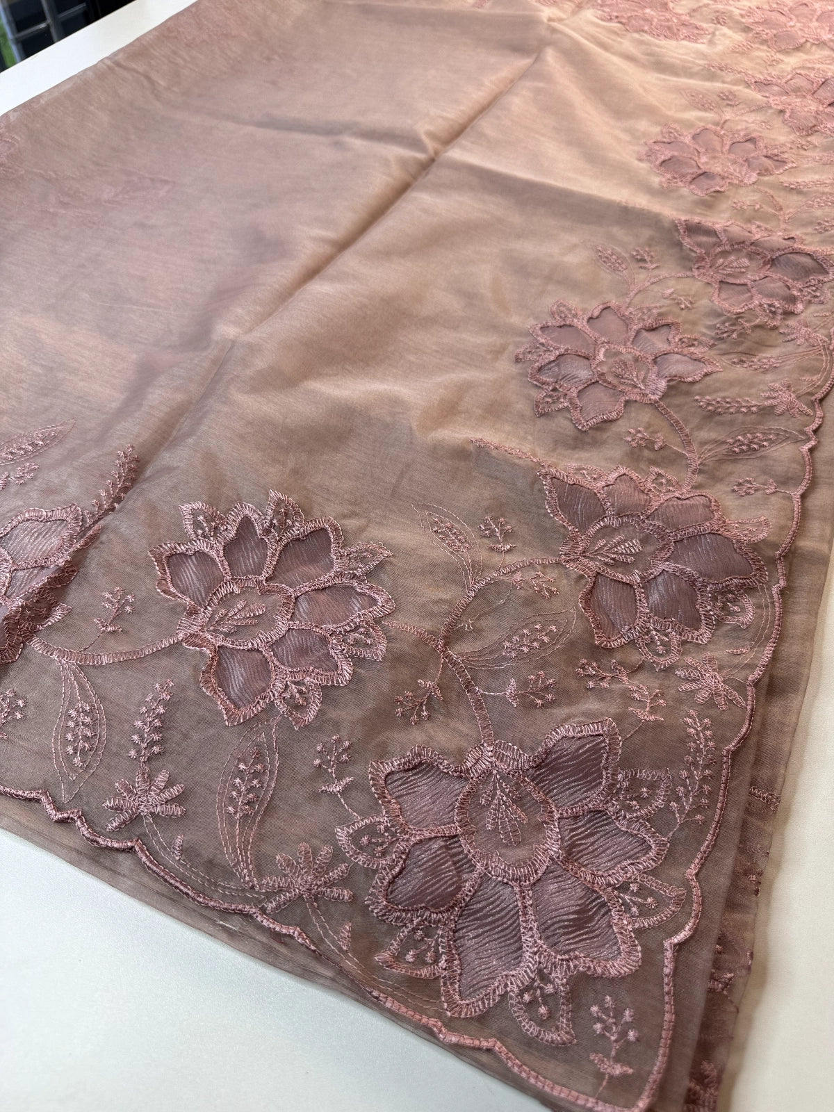 Soft Organza Saree / CW275