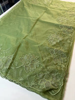 Soft Organza Saree / CW275