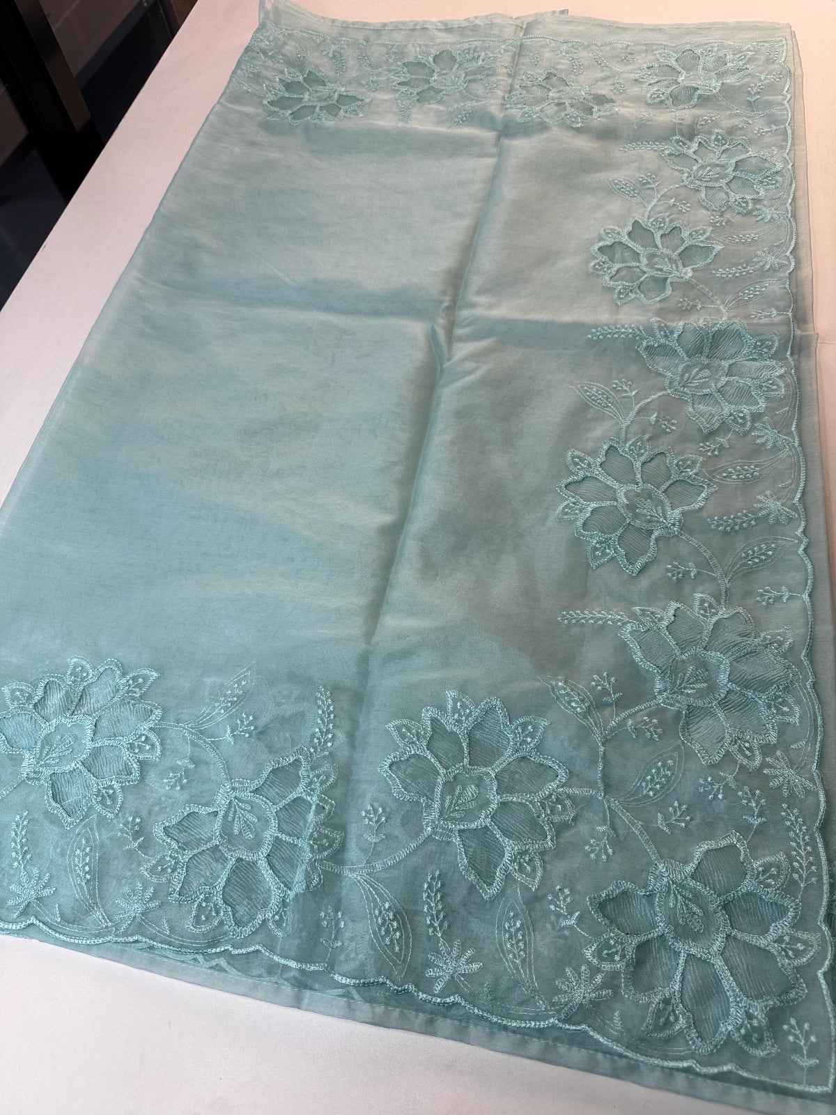 Soft Organza Saree / CW275