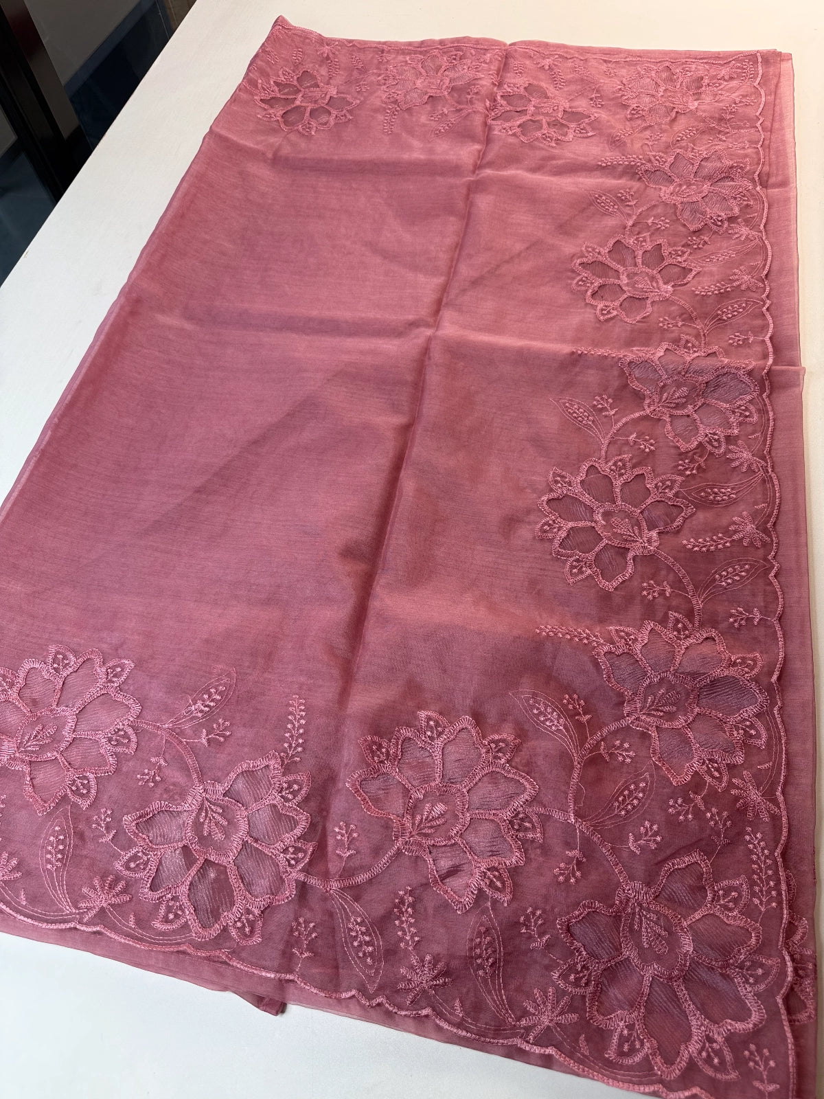 Soft Organza Saree / CW275