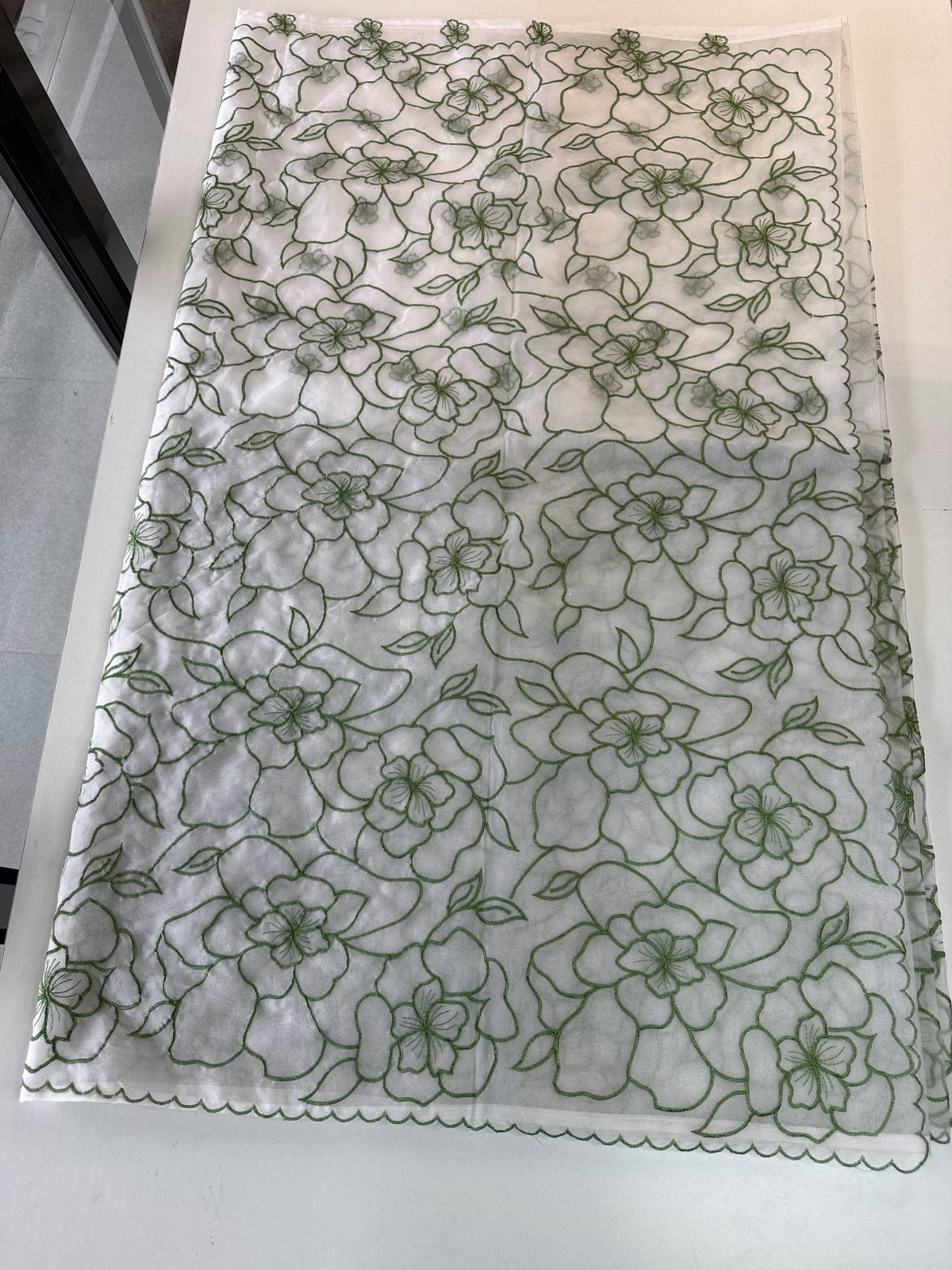 Soft OrganzaSaree/ CW311