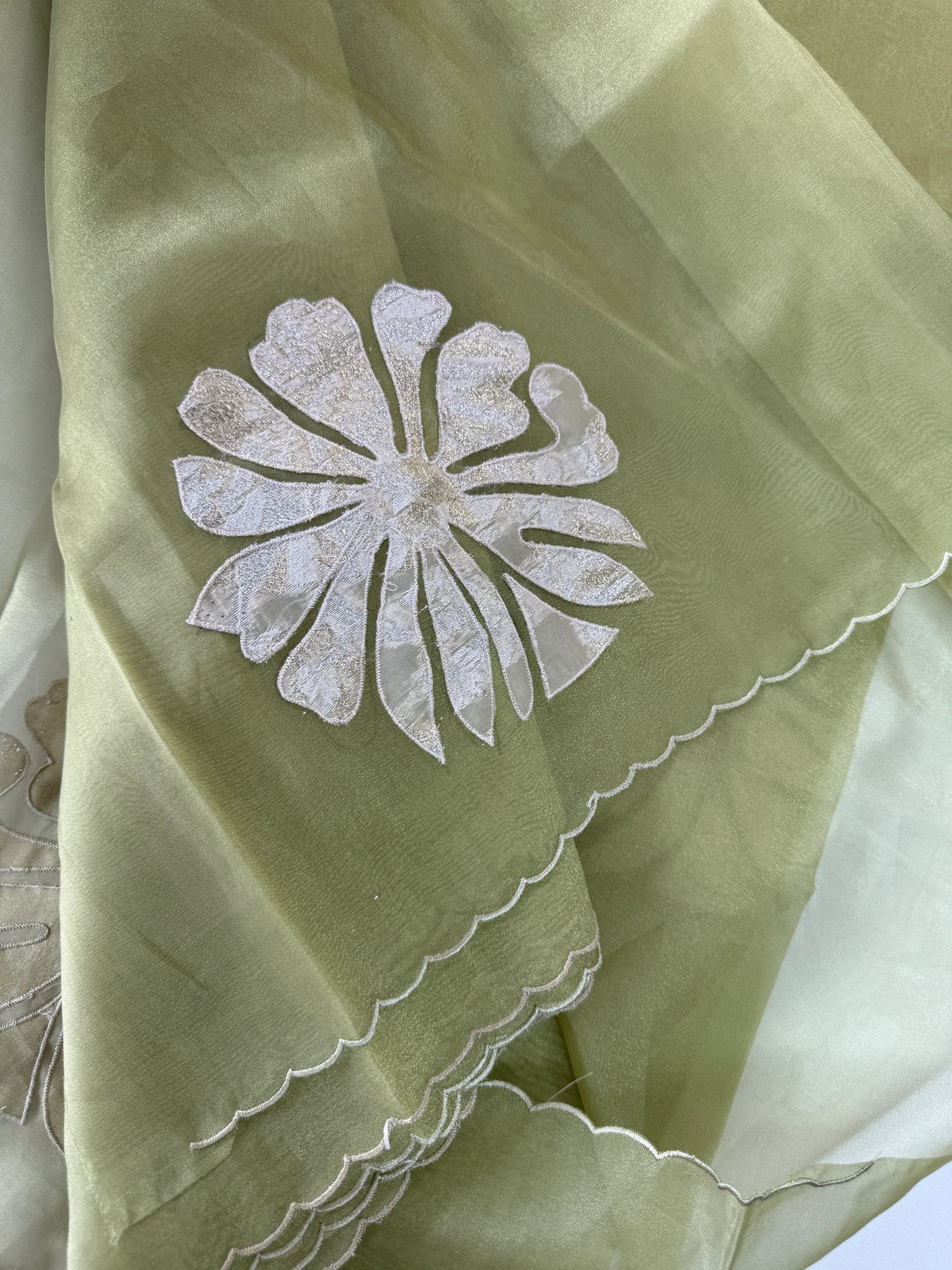 Glass Organza Saree/ LK35