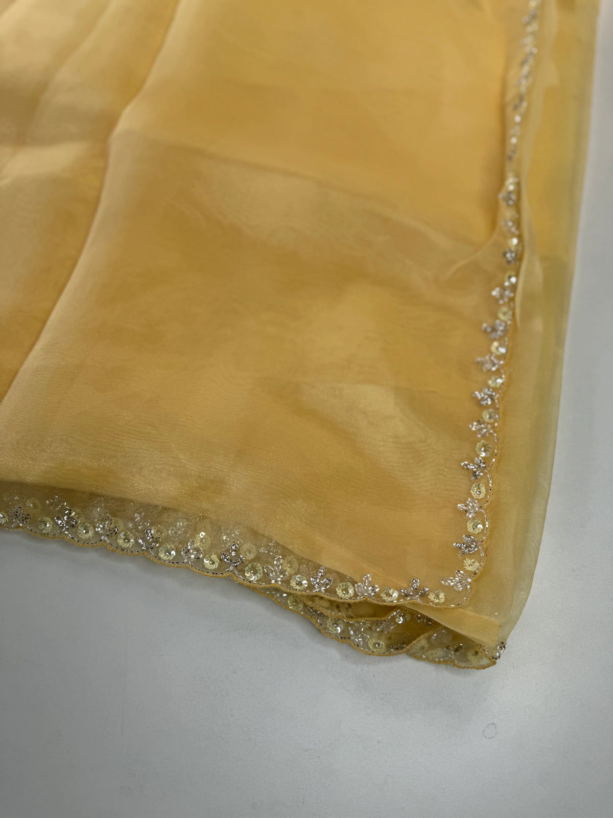 Organza Saree/ HW97