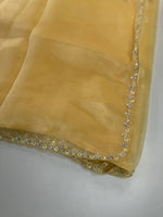 Organza Saree/ HW97