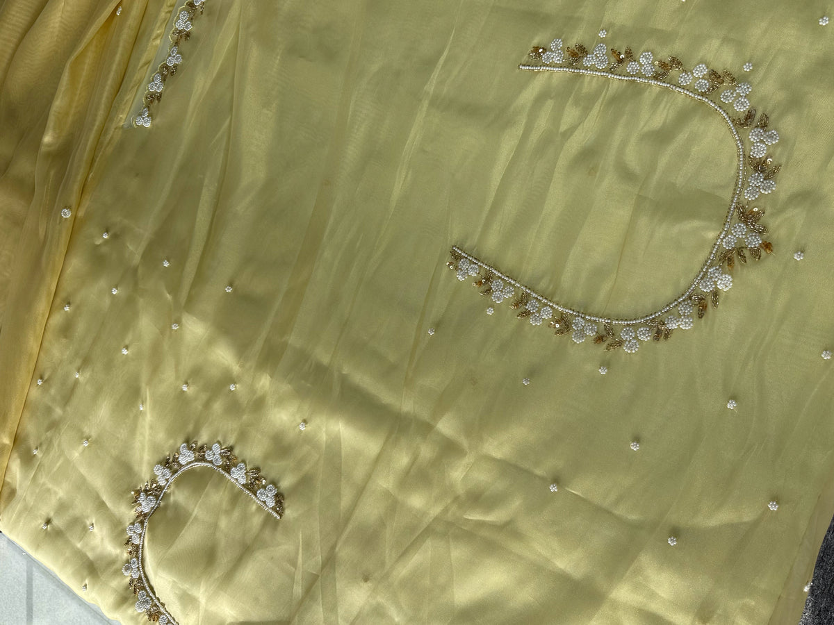 Tissue organza Saree/ 3695