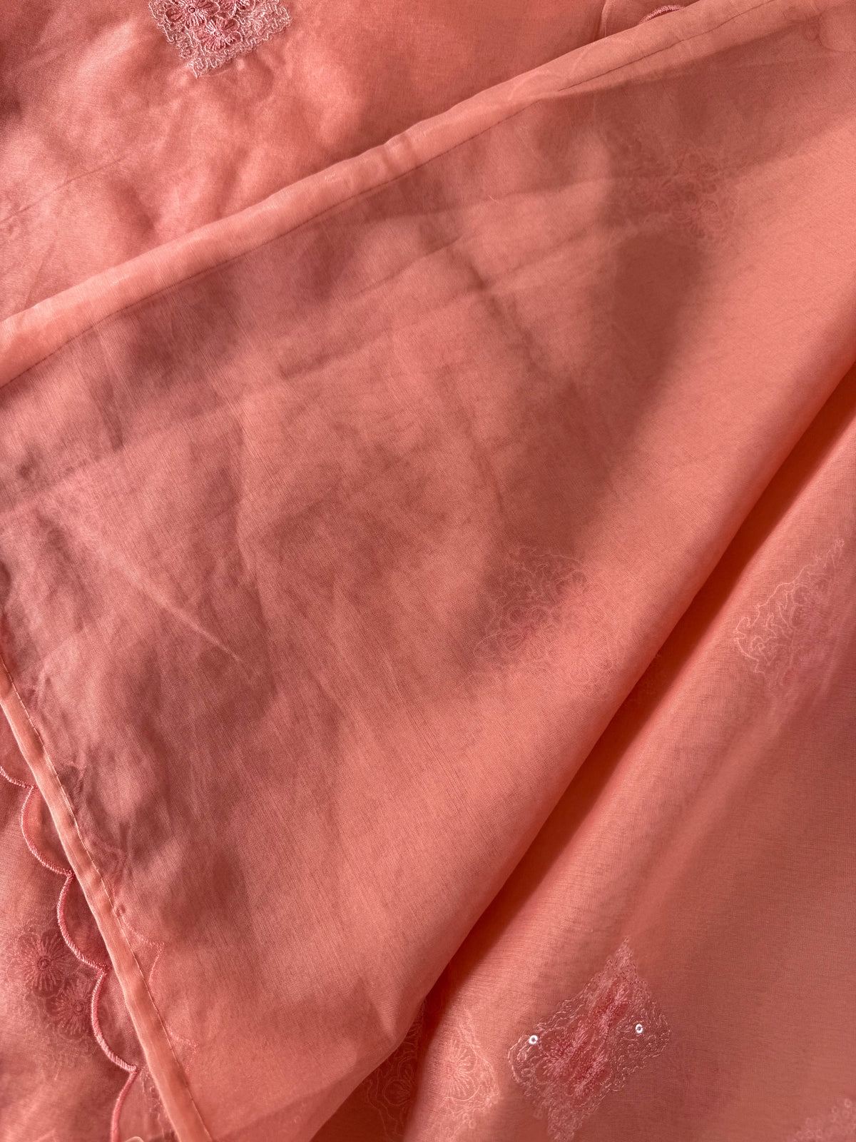 Soft Organza Saree/CW375