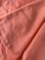 Soft Organza Saree/CW375