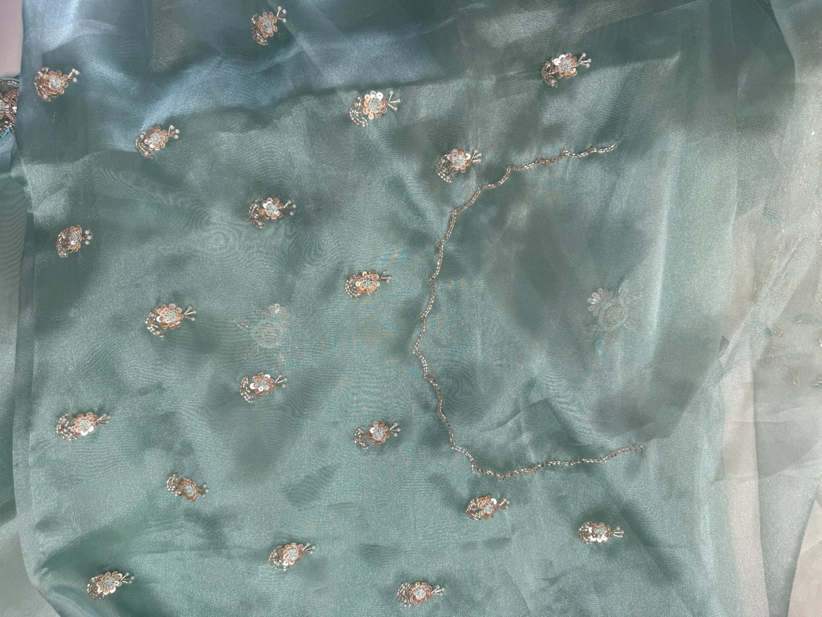 Glass organza Saree/AP810
