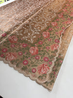 Tissue Saree/ SN301