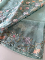 Glass organza Saree/ 155F