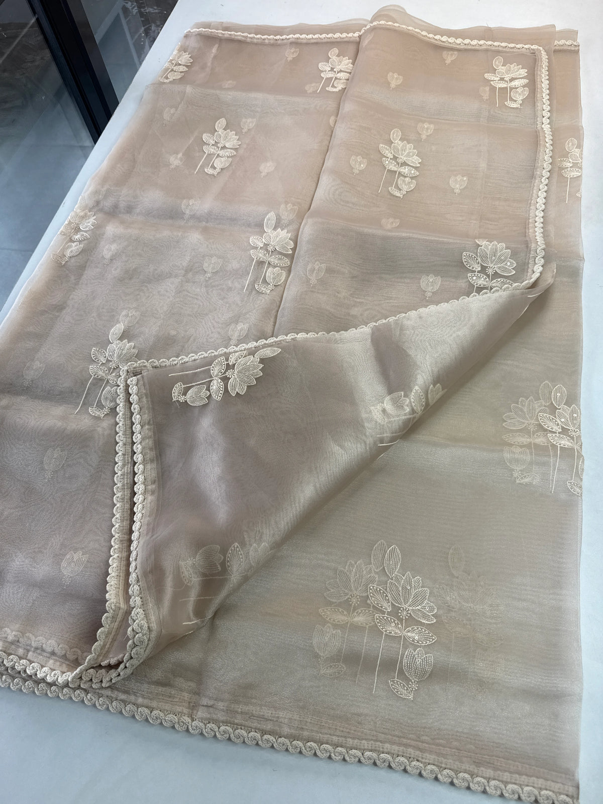 Glass Organza Saree/ CW666