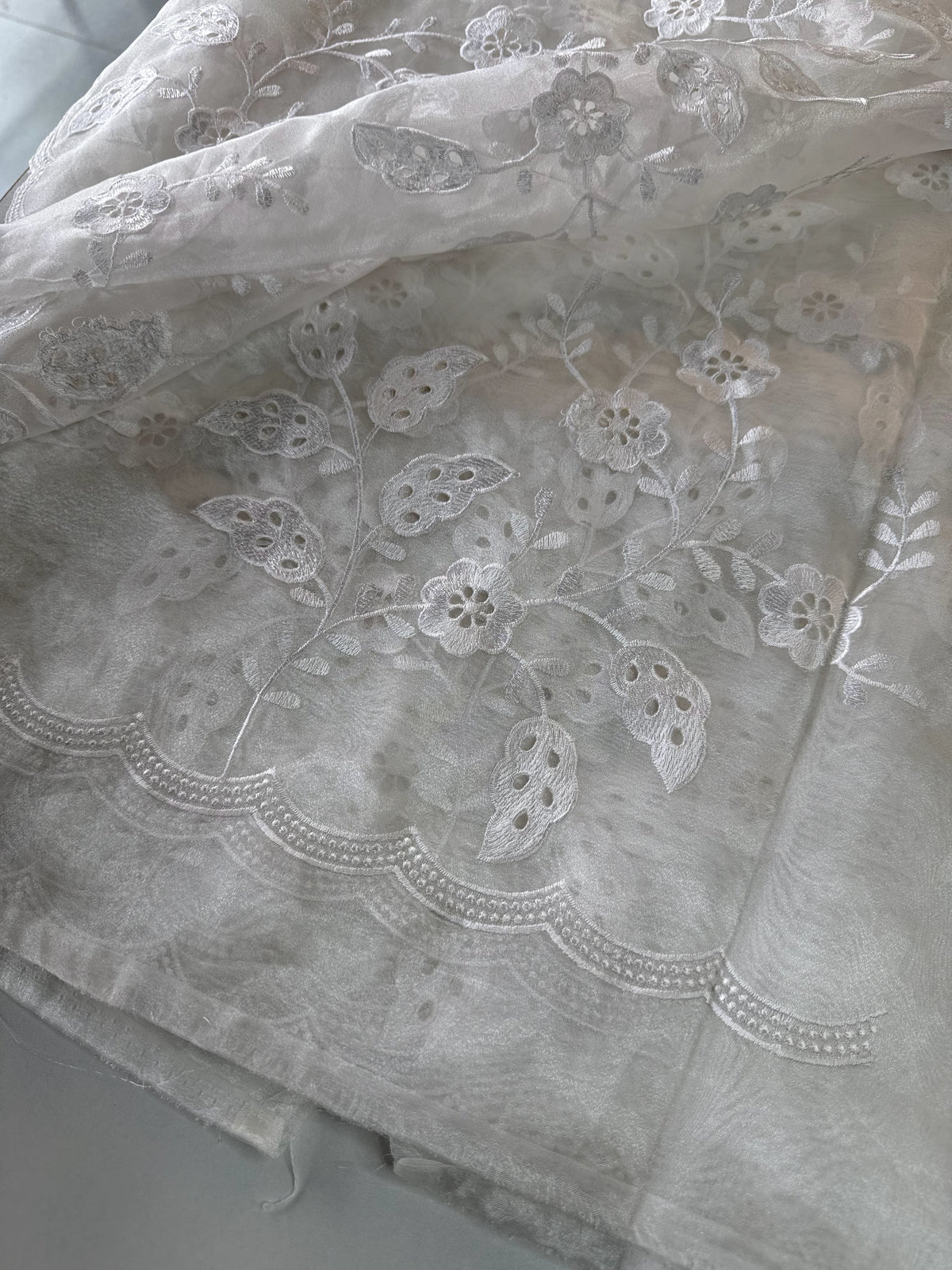 Organza Saree/GCW48