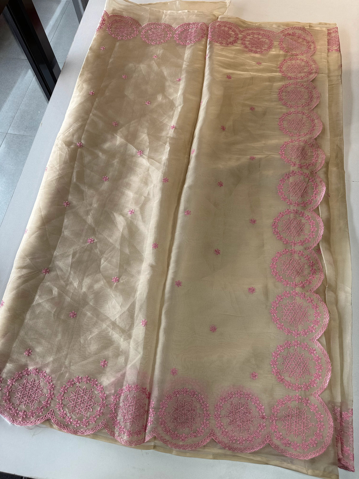 Organza Saree/ CW203