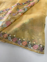 Glass organza saree/ 155B