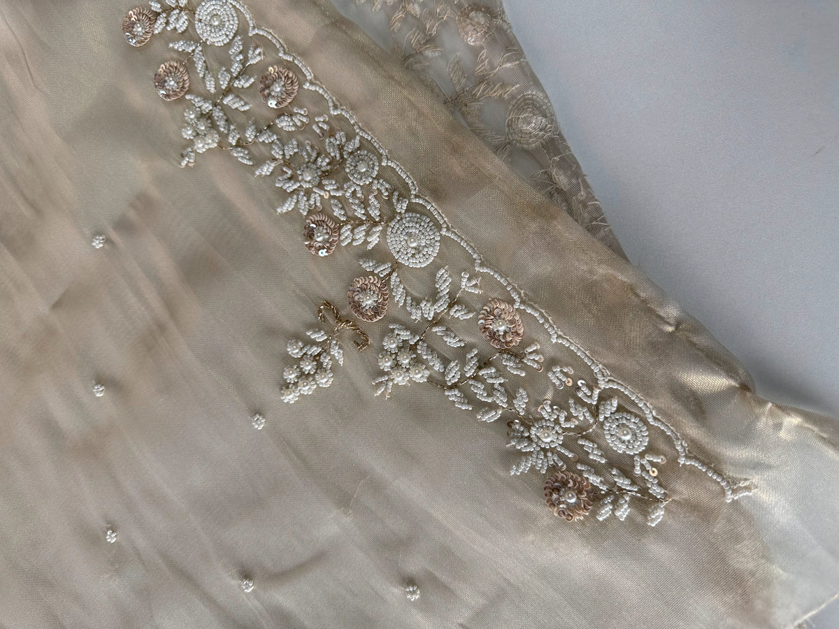 Tissue organza Saree/SA001