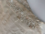 Tissue organza Saree/SA001
