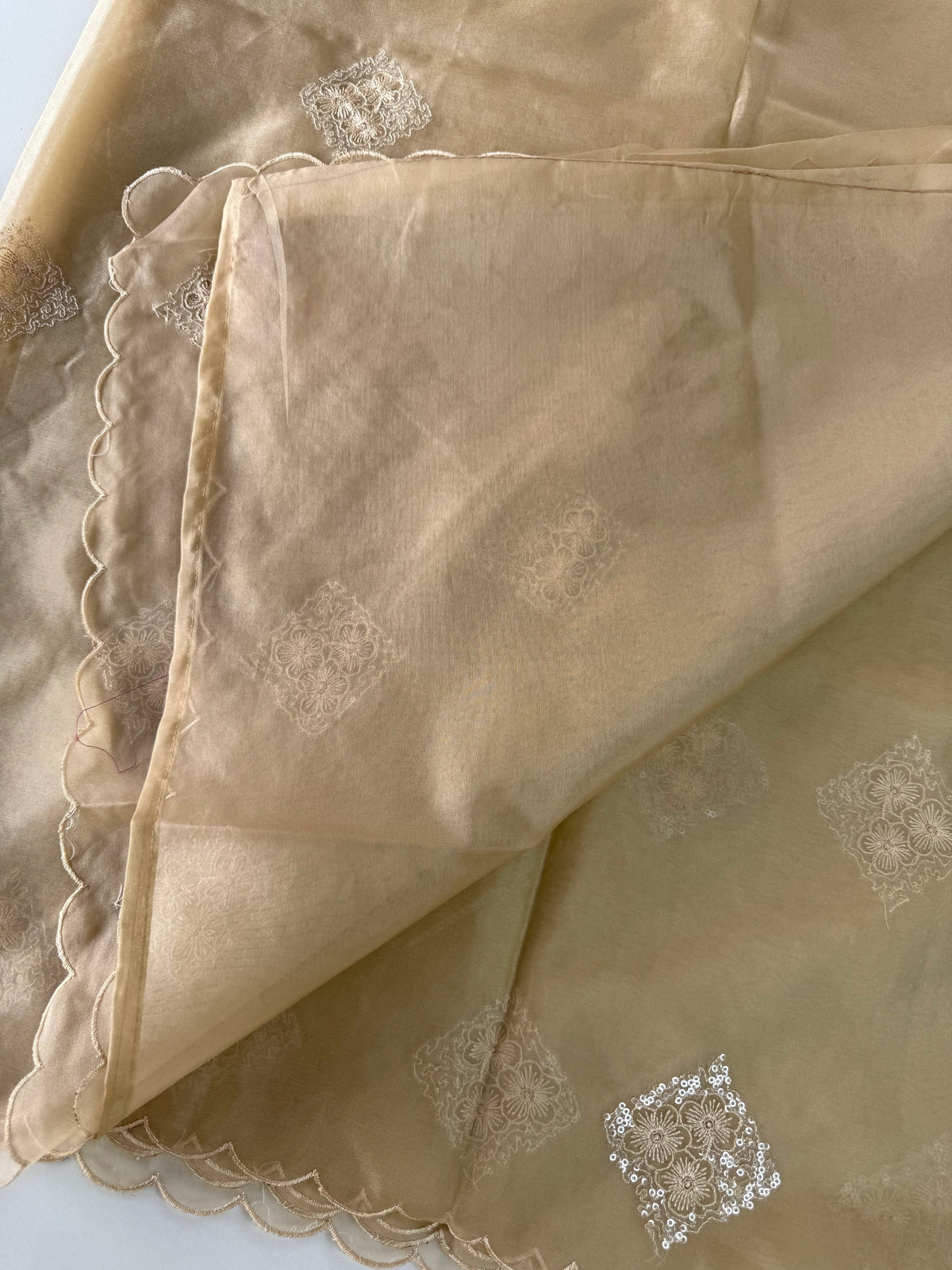 Soft Organza Saree/CW375