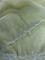 Korean Organza Saree/HW402