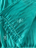 Tissue organza Saree/ HW319