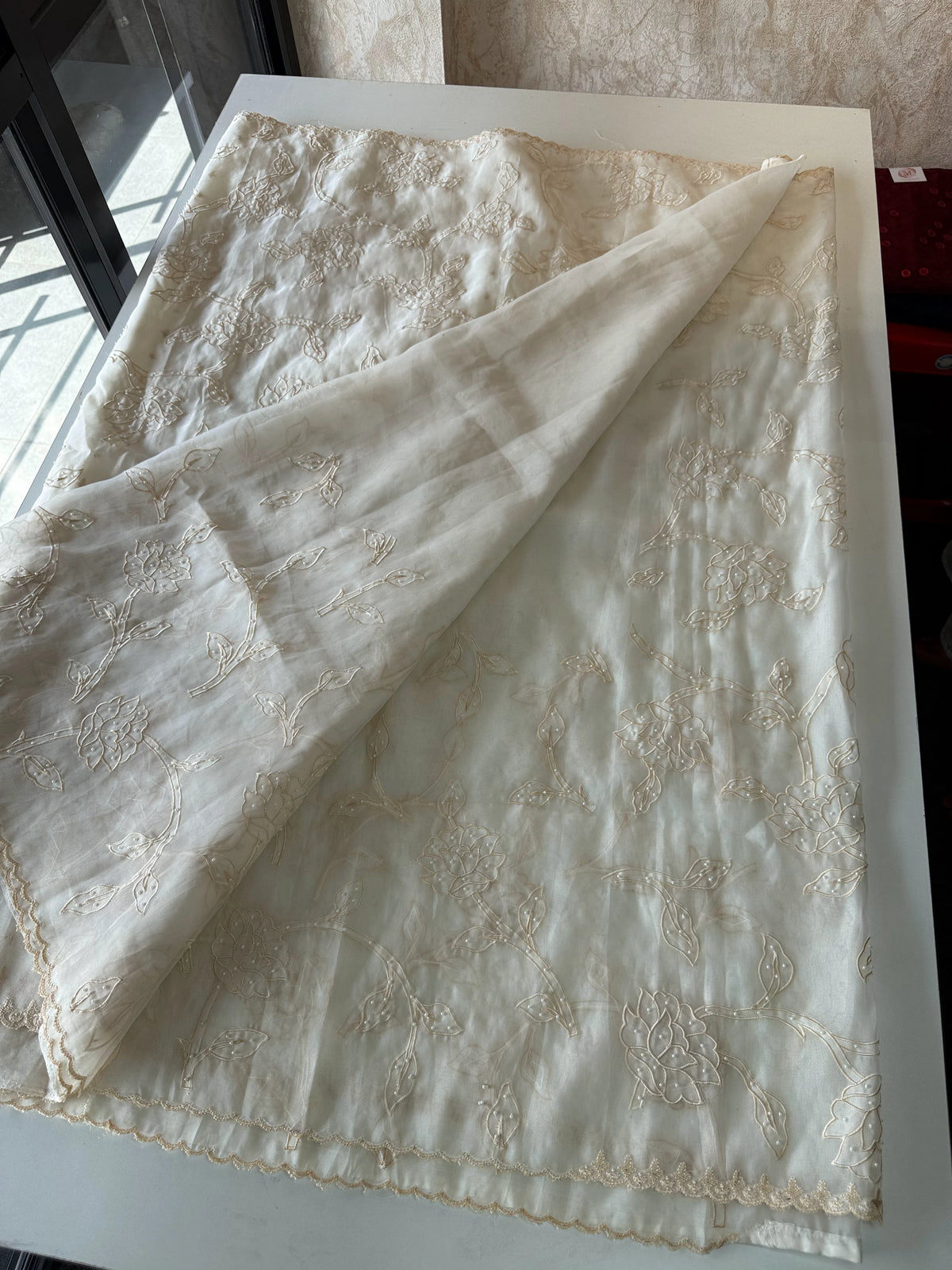 Viscous Organza Saree/ Ws18
