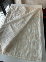 Viscous Organza Saree/ Ws18
