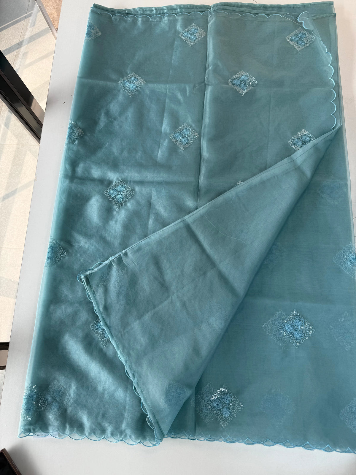 Soft Organza Saree/CW375