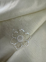 Fancy crushed Organza Saree/ HW490