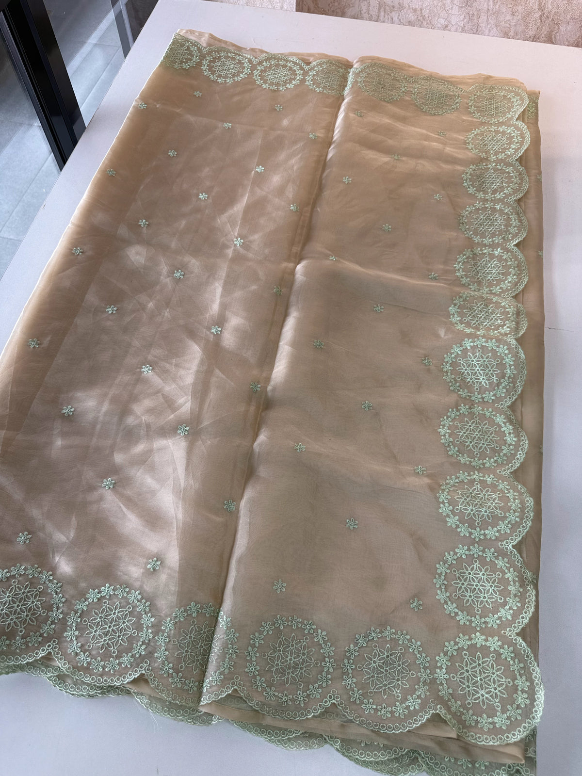 Organza Saree/ CW203