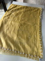 Tissue organza Saree/ 3695