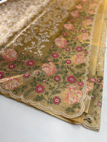 Tissue Saree/ SN301