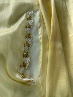 Tissue organza Saree/ 3695