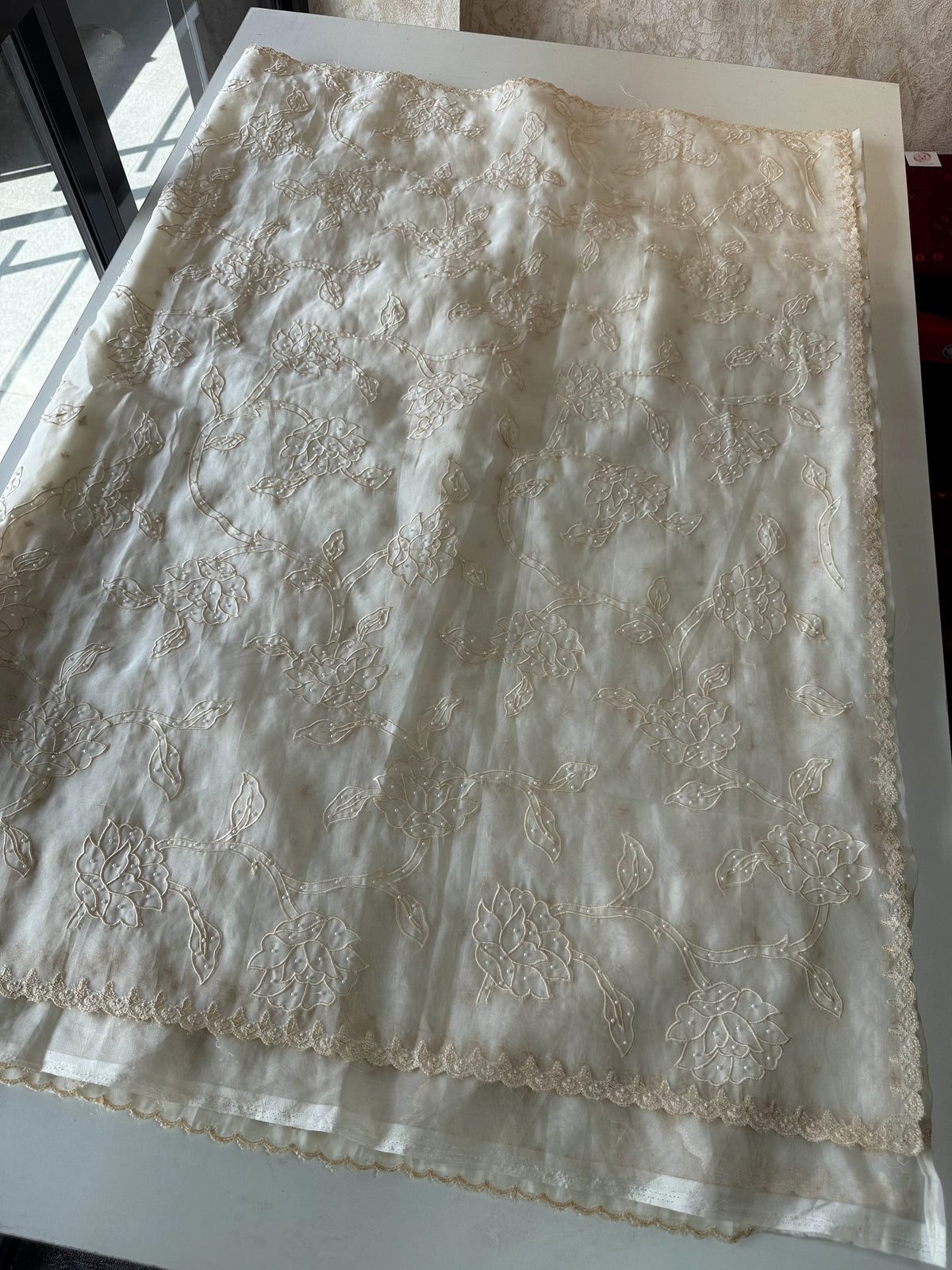 Viscous Organza Saree/ Ws18