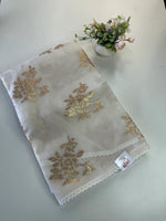 OrganzaSaree / CW348