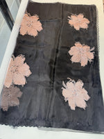Glass Organza Saree/ KB24