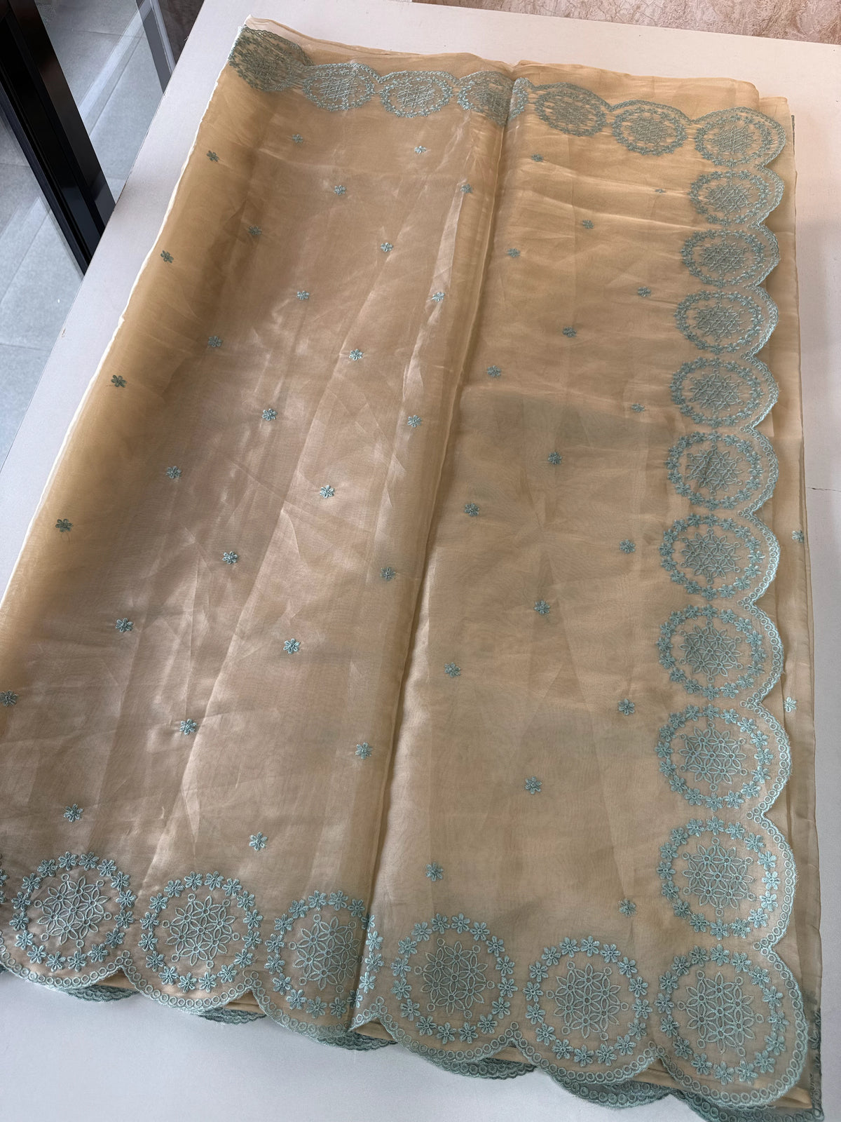Organza Saree/ CW203
