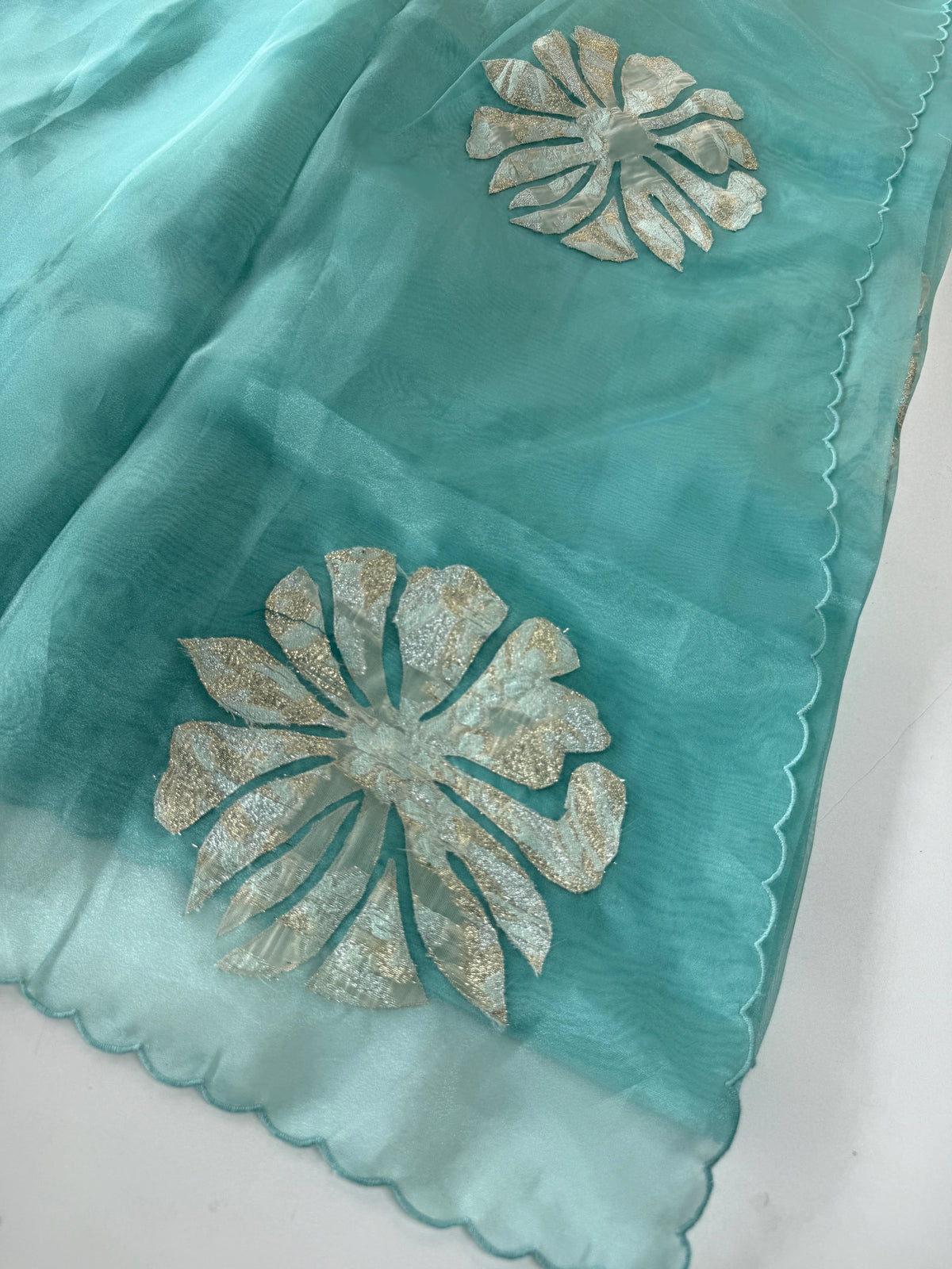 Glass Organza Saree/ LK35