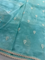 Glass Organza Saree/ CW666