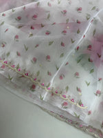 Glass organza Saree/5410