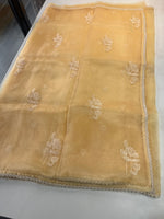 Glass Organza Saree/ CW666