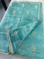 Glass Organza Saree/ CW666