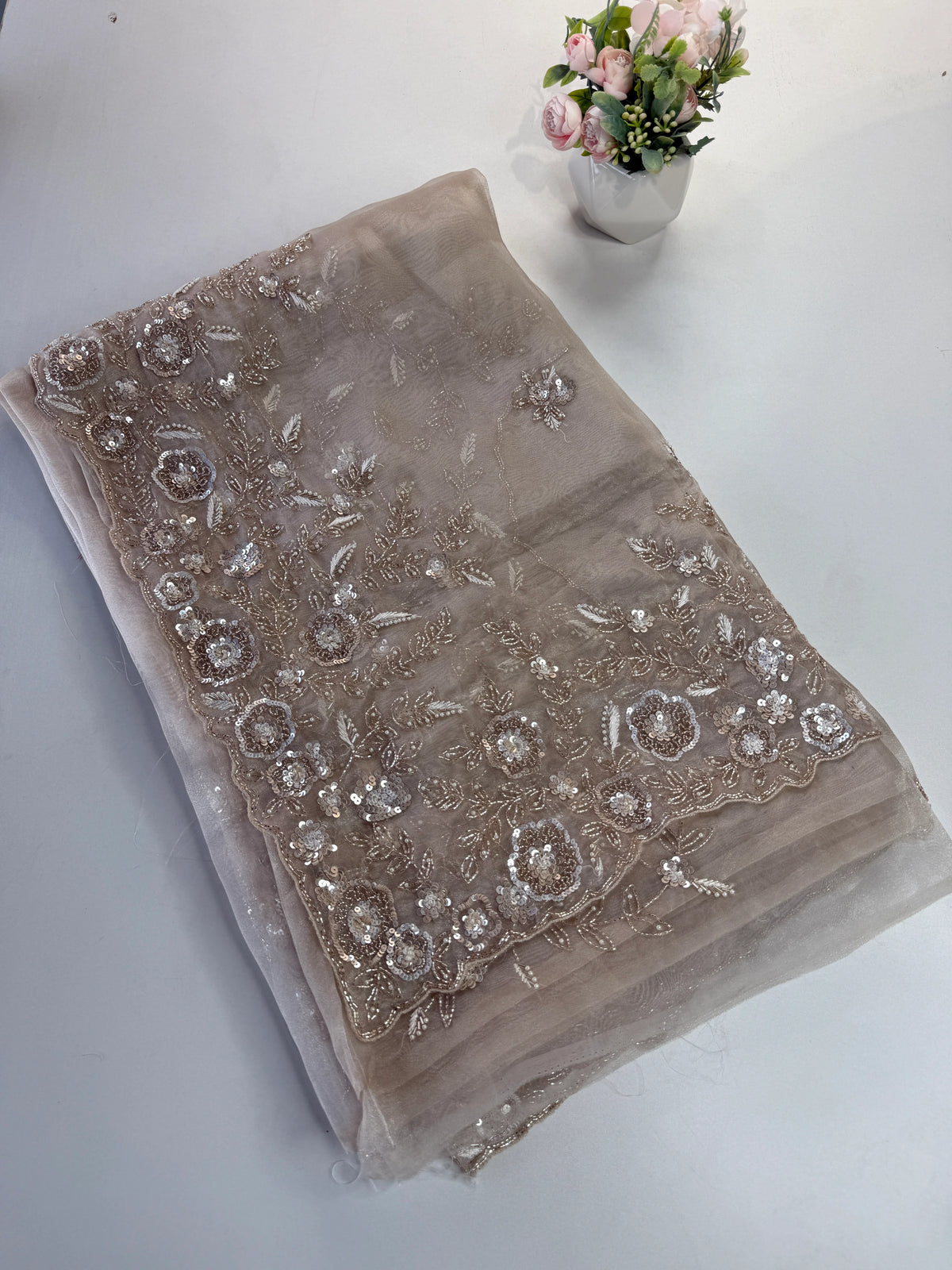 Glass organza Saree/AP810