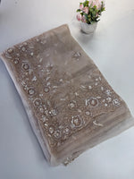 Glass organza Saree/AP810